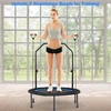 Trampolinas 101.6 cm