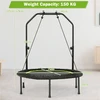 Trampolinas 101.6 cm