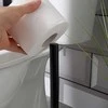 Bathroom Solutions Tualetinio popieriaus stovas 47 cm Juodas