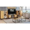 TV staliukas TV spintelė 155 cm