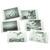 Vaikiškas momentinis fotoaparatas Ikonka iko-KX3573, Žydro meškiuko dizainas