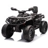 Lean Cars Vaikiškas keturratis Can Am Outlander 4x4 DK-CA005