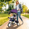 HOMCOM 6-in-1 triratis su stumiamąja rankena, vaikiškas triratis su nuimamu stogeliu nuo saulės, balansinis dviratis su 5 taškų saugos diržais, krepšiu, gėrimų laikikliu, skirtas 1-5 metų vaikams, violetinė spalva