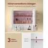Songmics Veidrodinė spintelė su 2 veidrodinėmis durimis ir apšvietimu, balta, 13 × 56 × 58 cm
