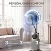 Ventiliatorius su purškiamu rūku ruda/juoda