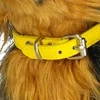 Žaislinis šuniukas