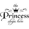 Luco Žaislų dėžė Darija Princess