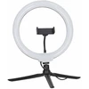 Žiedinė LED lempa 25.5 cm