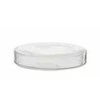Deltaoptical Stiklinė Petri lėkštelė 40mm/12mm