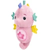 BABY EINSTEIN raminantis pliušinis žaislas Seahorse Soother, rožinis, 17400-013