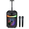BONTEMPI belaidis garsiakalbis su 2 mikrofonais ir RGB šviesomis, 49 1070