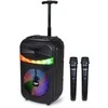 BONTEMPI belaidis garsiakalbis su 2 mikrofonais ir RGB šviesomis, 49 1070