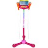 BONTEMPI TECH belaidis scenos mikrofonų stovas su dviem mikrofonais, 421472