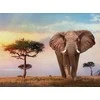 CLEMENTONI dėlionė Afrikos saulėlydis, 500d., 35096