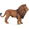 Collecta Figūrėlė Afrikinis liūtas (L)