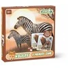 Dėlionė COLLECTA Atminties žaidimas - laukinis gyvenimas 64 vnt., 84238