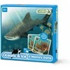 Dėlionė COLLECTA Atminties žaidimas - Vandenynas ir ledas 64vnt., 84237
