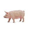 Collecta Figūrėlė Kiaulė (M)