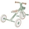 GLOBBER mokomasis triratukas Learning Trike, 2in1 Plus, pistacinis, 737-109
