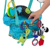 Bright Stars Kids Ii Juvenile BRIGHT STARTS šokliukas Bounce 'n Spring Deluxe 10410