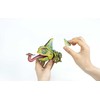 MAKEBUG 3D popierinė delionė Chameleonas, MB-D-0050