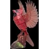 MAKEBUG 3D popierinė delionė Kardinolas, MB-D-0055