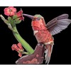 MAKEBUG 3D popierinė delionė Kolibris, MB-D-0058