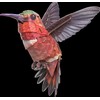 MAKEBUG 3D popierinė delionė Kolibris, MB-D-0058