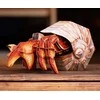 MAKEBUG 3D popierinė delionė Krabas atsiskyrėlis, MB-B-0008