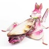 MAKEBUG 3D popierinė delionė Orchidėjinis maldininkas, MB-B-0003