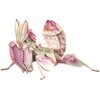 MAKEBUG 3D popierinė delionė Orchidėjinis maldininkas, MB-B-0003