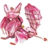 MAKEBUG 3D popierinė dėlionė Orchidėjinis maldininkas, MB-D-0052