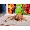 MAKEBUG 3D popierinė delionė Straubliukas, MB-B-0004