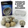 ORBICO NATIONAL GEOGRAPHIC rinkinys Break Your Own Geode, RTNGGEO2