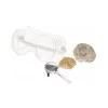 ORBICO NATIONAL GEOGRAPHIC rinkinys Break Your Own Geode, RTNGGEO2