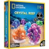 NATIONAL GEOGRAPHIC rinkinys Crystal Reef, RTCRYSHAB
