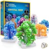NATIONAL GEOGRAPHIC rinkinys Crystal Reef, RTCRYSHAB