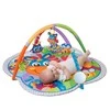 PLAYGRO muzikinis žaidimų kilimėlis Clip Clop Activity Gym, 0186991