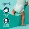 Rascal And Friends RASCALS sauskelnės-kelnaitės, 6 dydis, 15-20 kg, 46 vnt., 93437