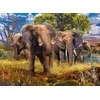 Ravensburger Dėlionė 500 vnt. - Dramblių šeima