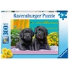 Ravensburger Dėlionė 300 vnt. - Maži lambradorai