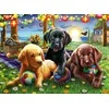 Ravensburger Dėlionė 100 vnt. - Šuniukų iškyla