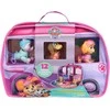 Figūrėlių rinkinys Spin Master PAW PATROL: Skyes World Rescue Camper (6074035)
