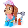 Spin Master PAW PATROL figūrėlė Skye's World Rescue Liberty, 6076579