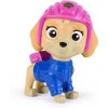 Spin Master PAW PATROL figūrėlių rinkinys Search &amp; Rescue, 6074759