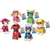 Spin Master Paw_Patrol Žaislas Paw Patrol 6069660
