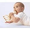 VULLI Sophie la girafe kramtukas 0m+ 616400