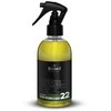 DETURNER READY INTERIOR CLEANER 250ml - Vidaus valiklis