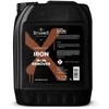 DETURNER X-LINE IRON 5L - Geležies valiklis/rūdžių dalelių valiklis