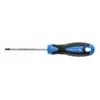 Hogert Atsuktuvas Torx T25, 100 mm, S2 plienas